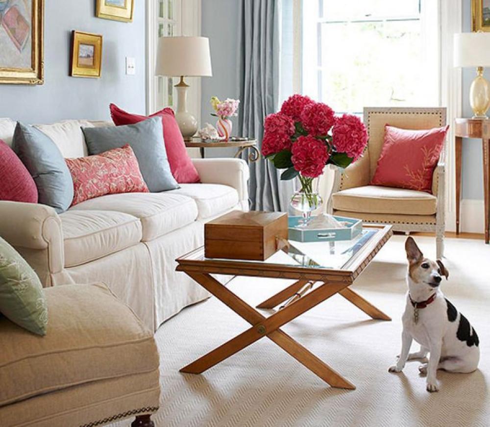 Как да премахнем петната и миризмите от домашни любимци