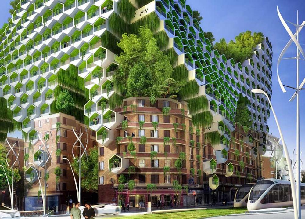 Бихте ли си купили жилище в подобна медена пита?