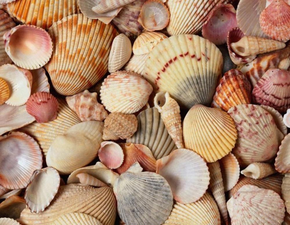 Допълнителна украса