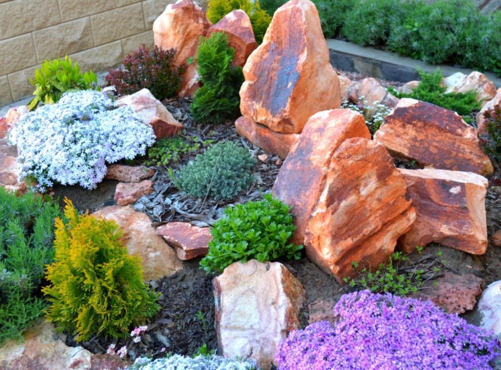 Създайте алпинеум за повишено провансалско настроение