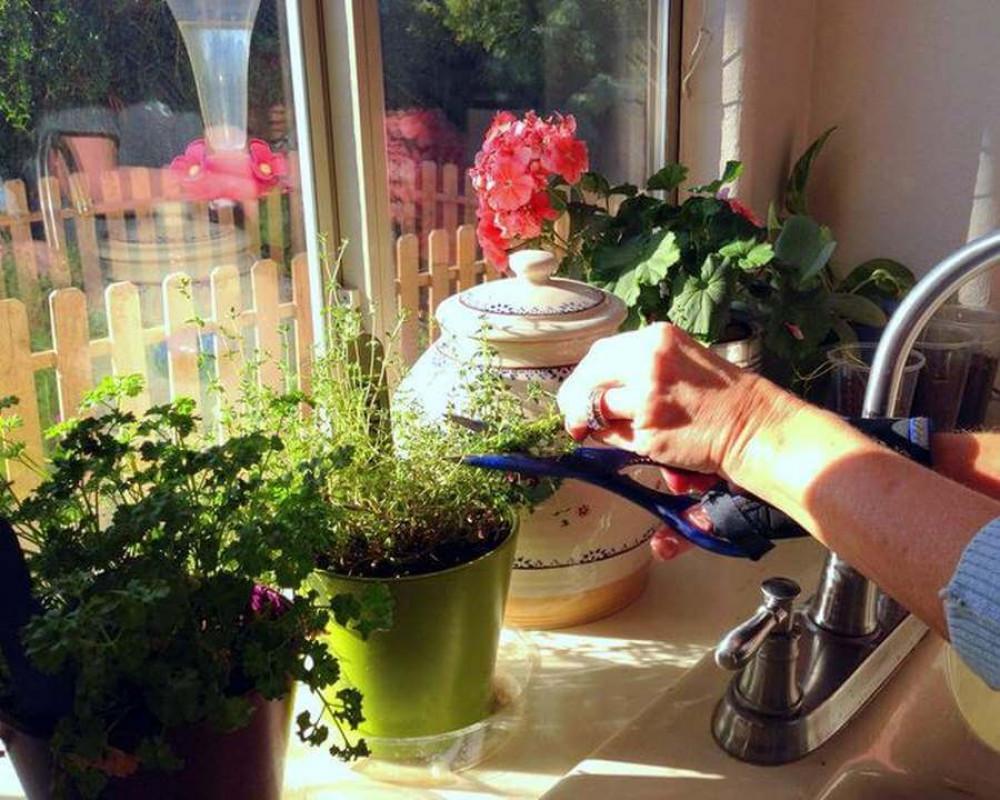 Поливане и торене