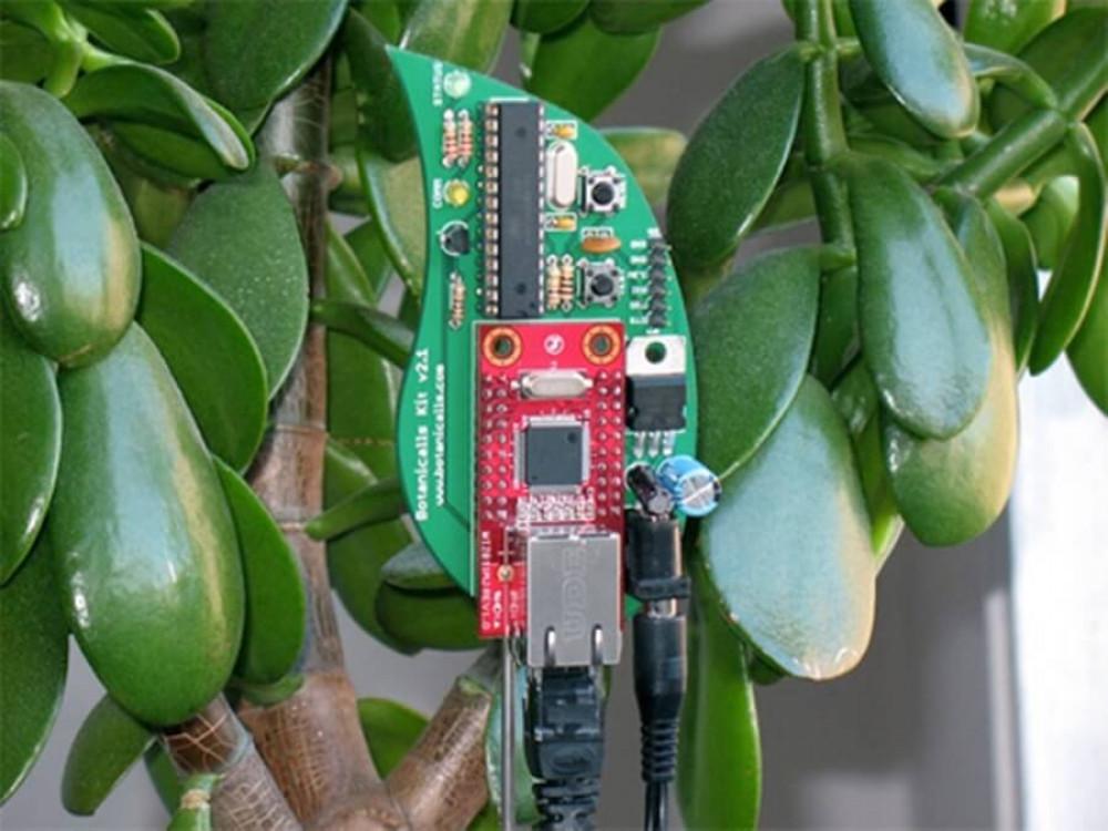 Мобилна връзка с вашите растения в градината