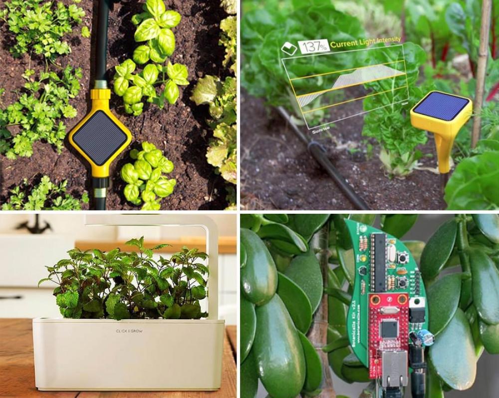 Високотехнологични градински изобретения, които ще ви изумят