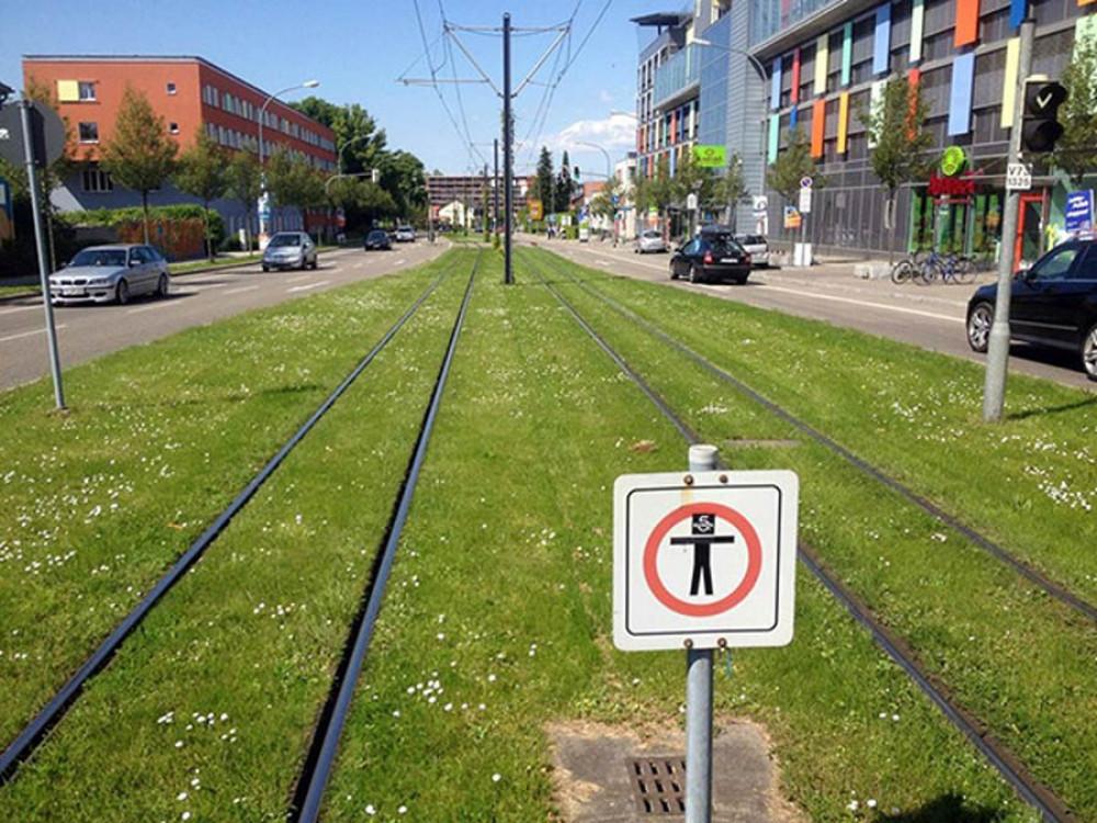 Предимства на зелените площи