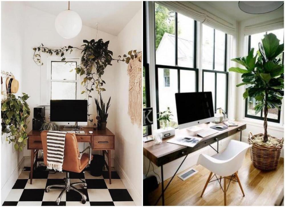 Дизайн, вдъхновен от природата - винаги добър избор!