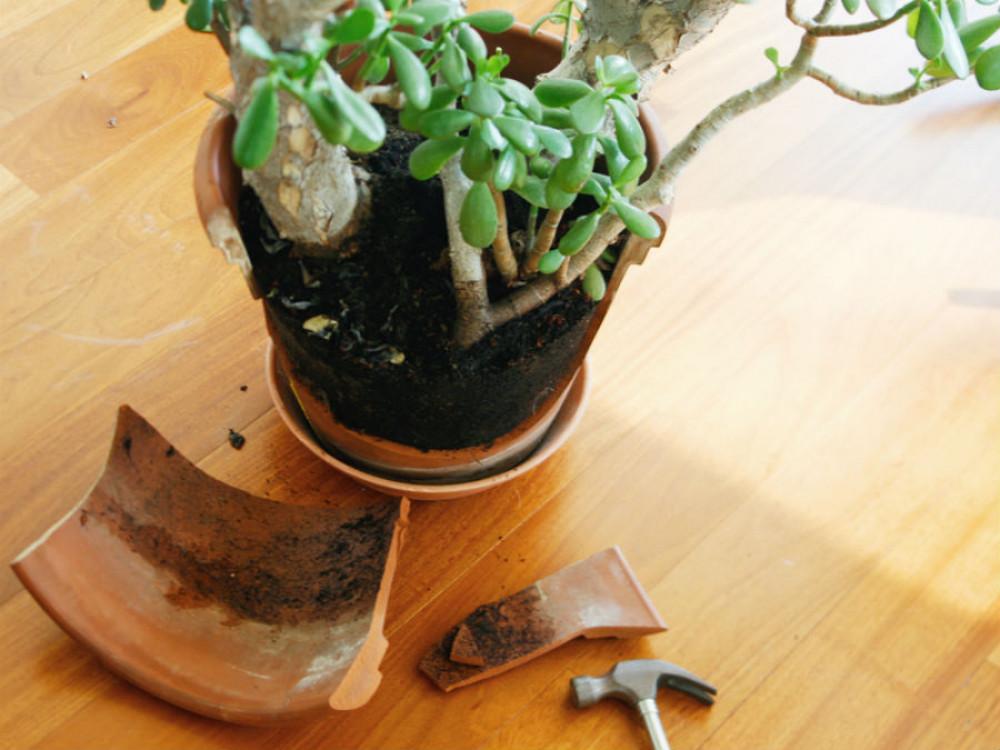 Преместването