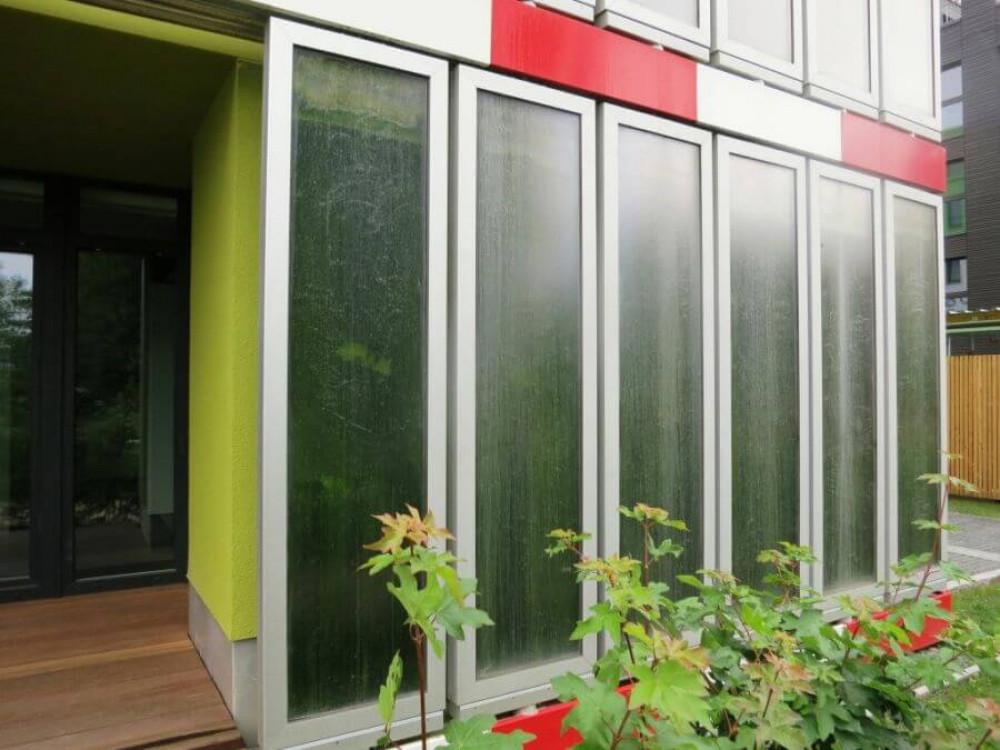 Електричество, генерирано от водорасли