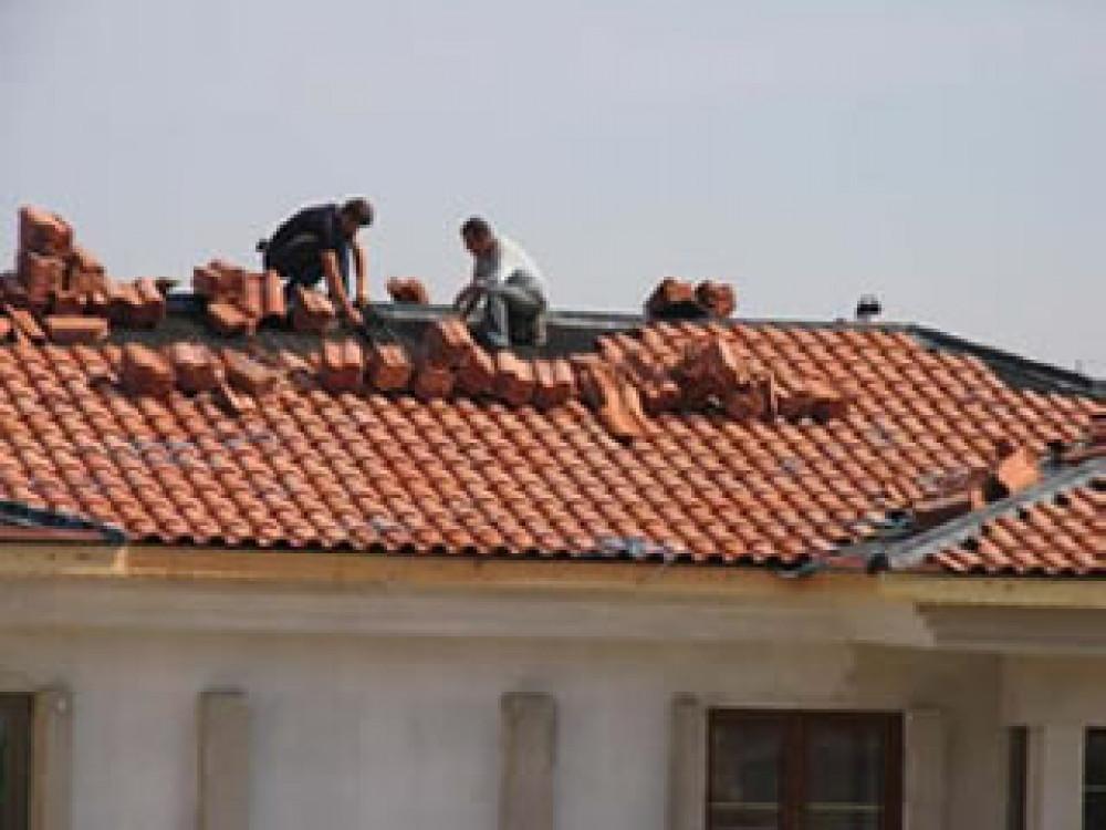 Снимка  от Трайко Сотиров