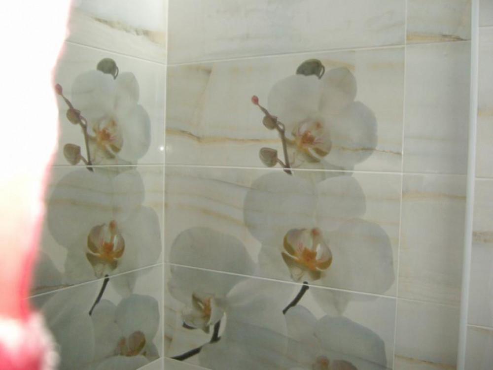 Снимка  от Димитър Тошков