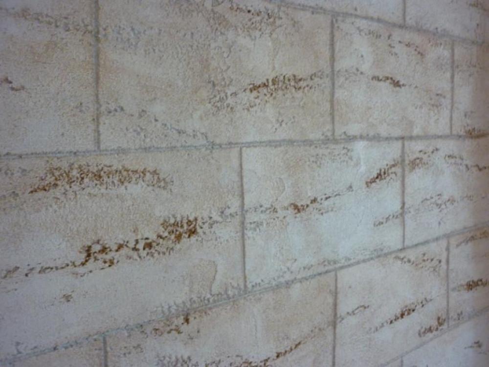 Снимка  от Ивайло Маринов