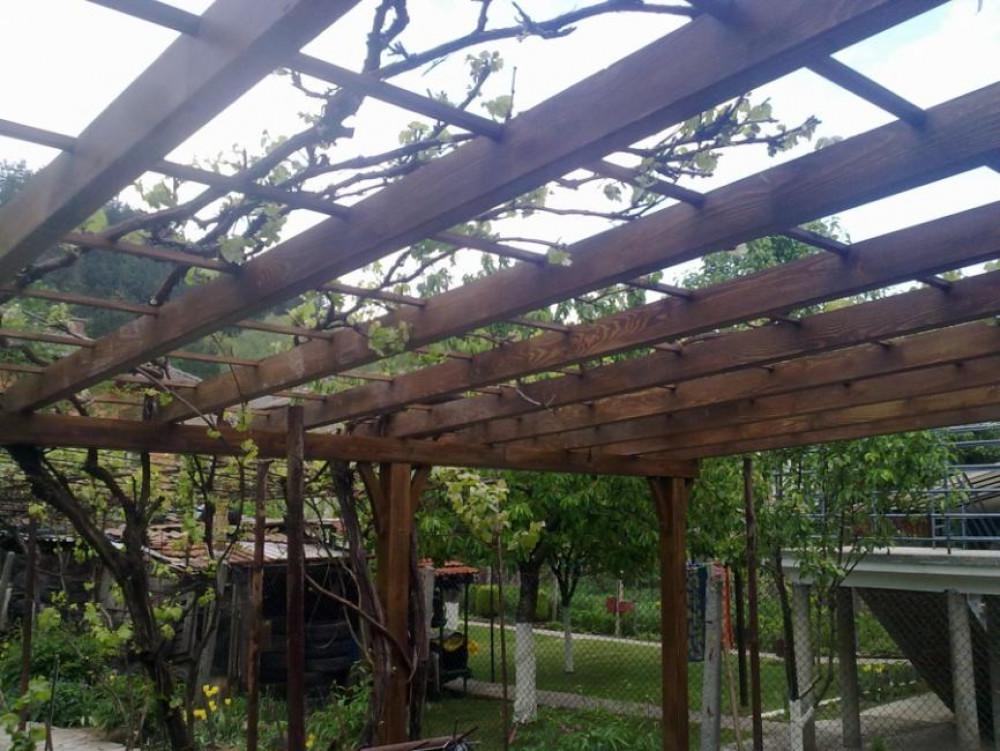 Снимка  от Георги Чолаков