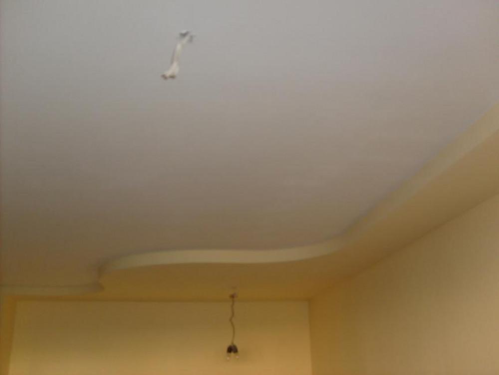 Снимка  от Ивелин Божков