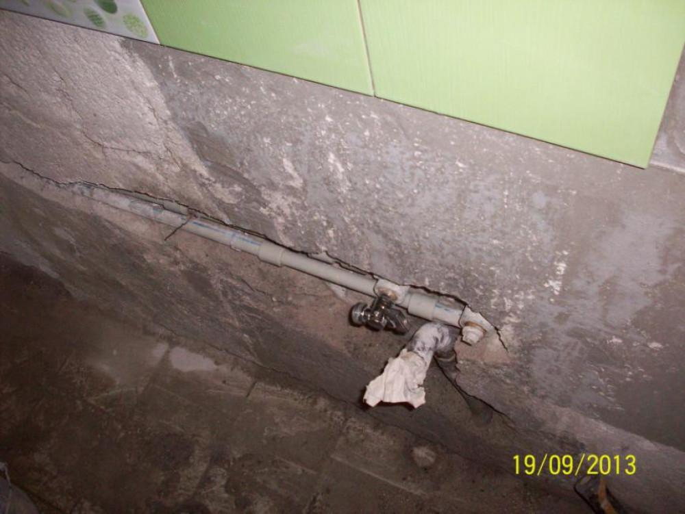 Снимка  от Радослав Севдин