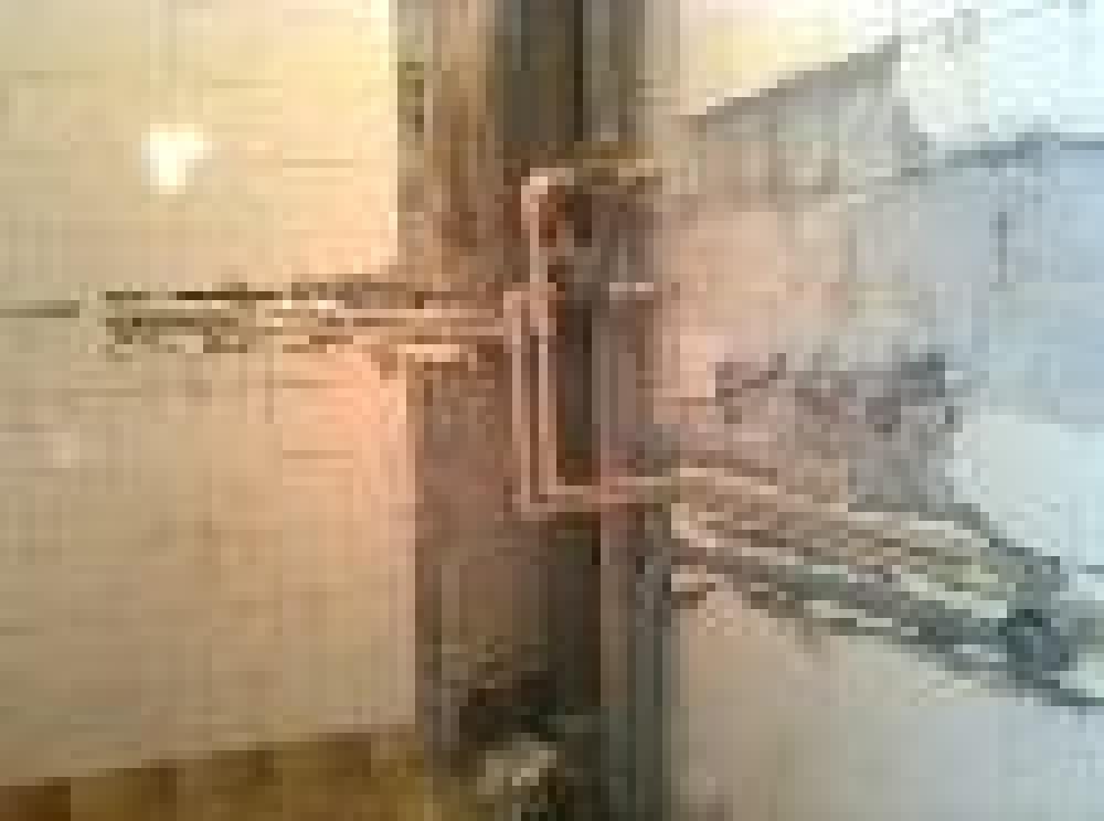 Снимка  от Стоян Райчев