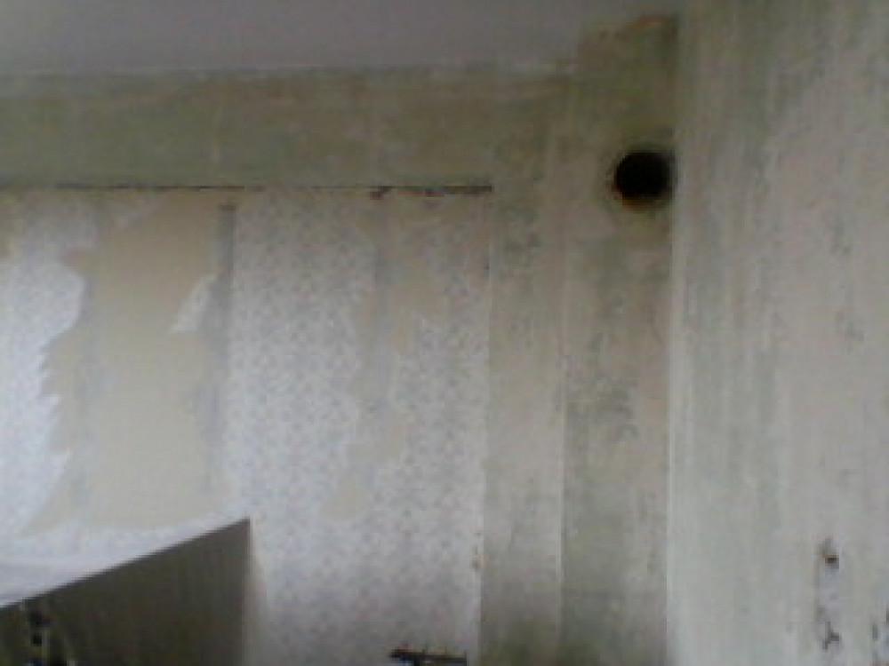 Снимка  от Северин Ленков