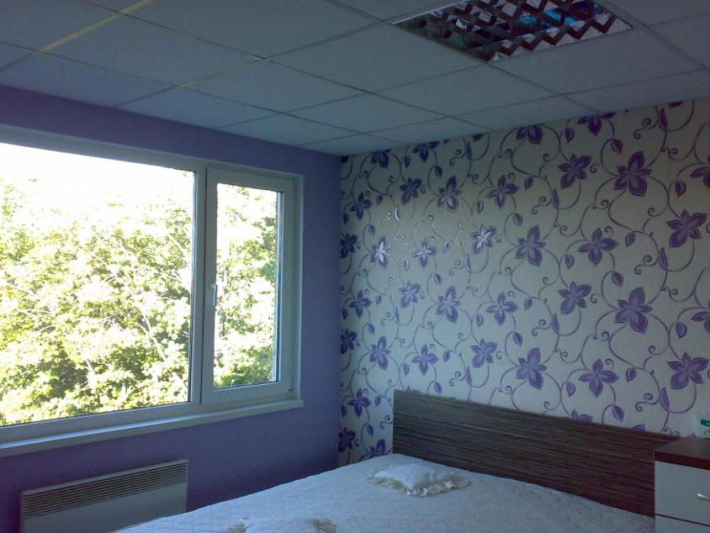 Снимка  от Ивайло Тодоров