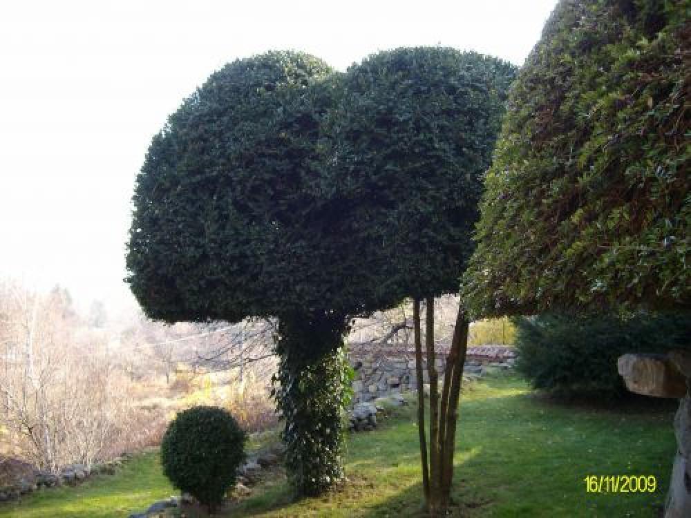 Снимка  от Светослав Атанасов