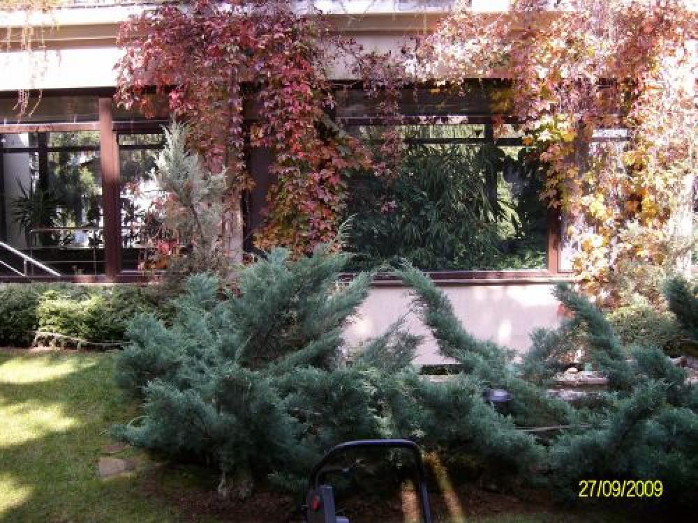 Снимка  от Светослав Атанасов