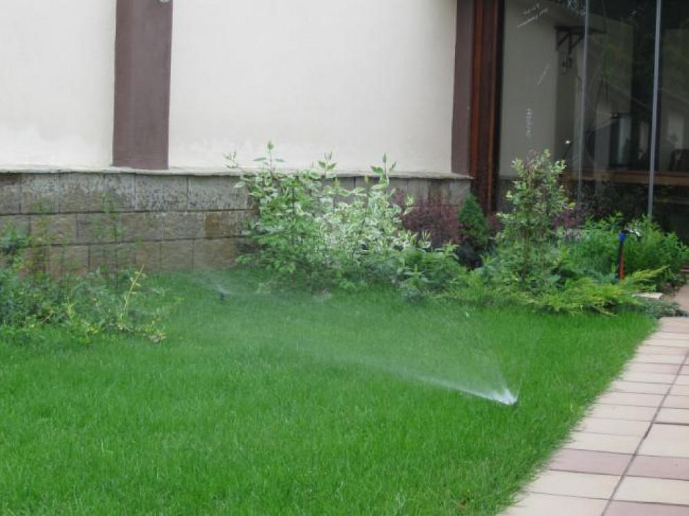 Снимка  от velina simeonova