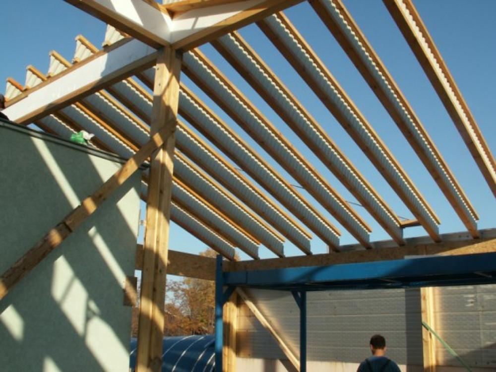 Снимка  от Димитър Гинов