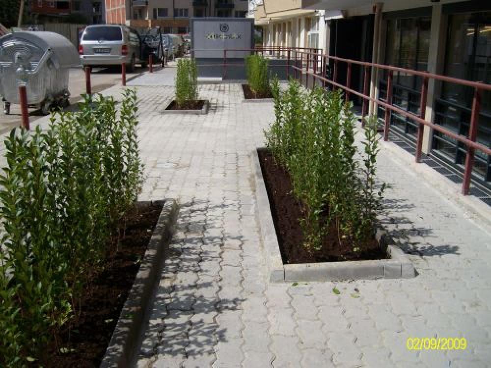 Снимка  от Светослав Атанасов