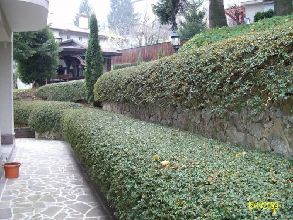 Снимка  от Светослав Атанасов