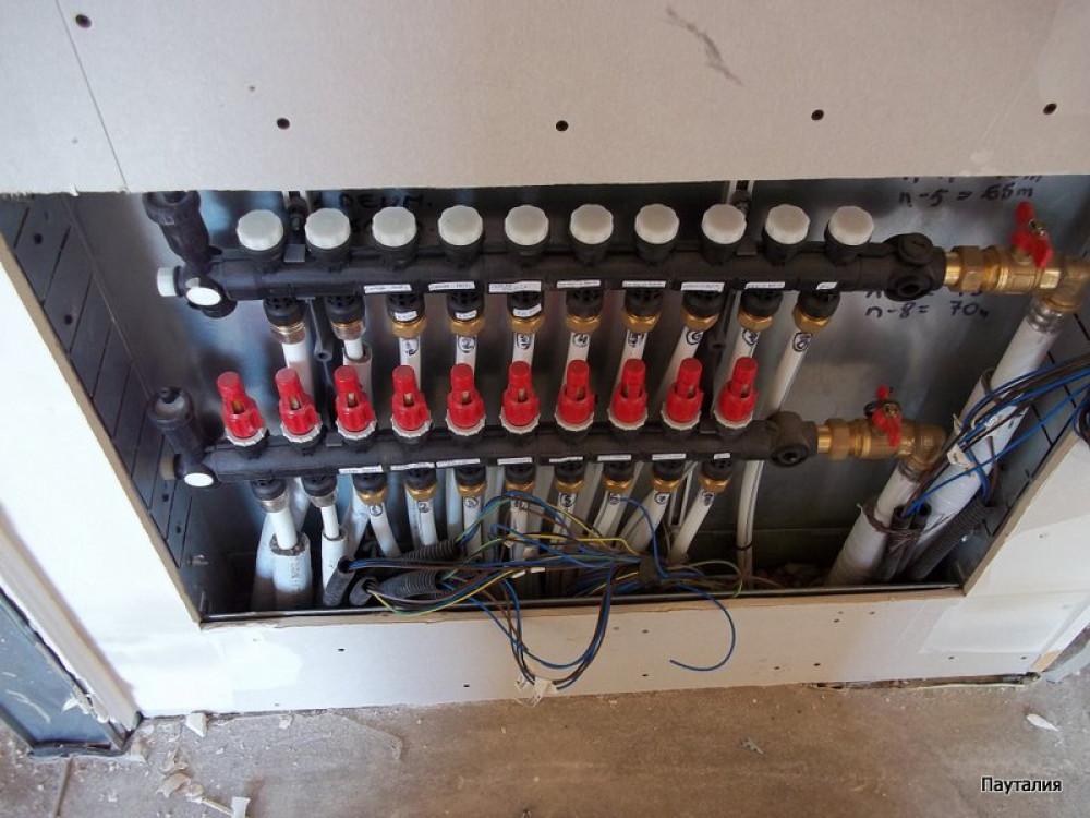 Снимка  от Антони Красимиров