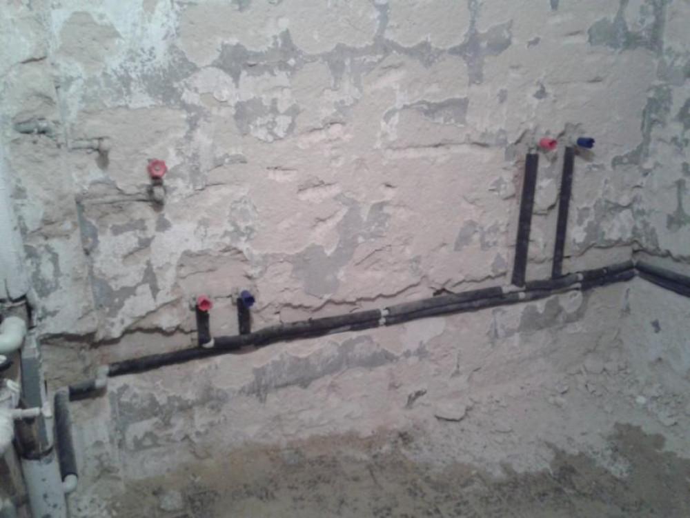 Снимка  от Васил Василев