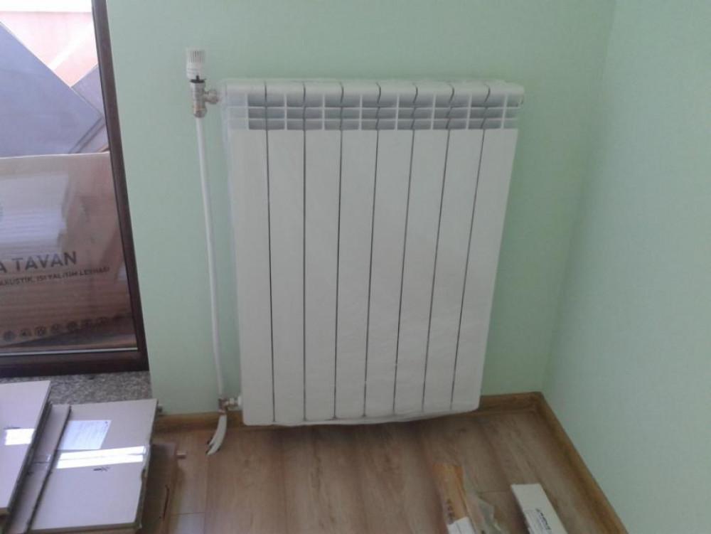 Снимка  от Васил Василев