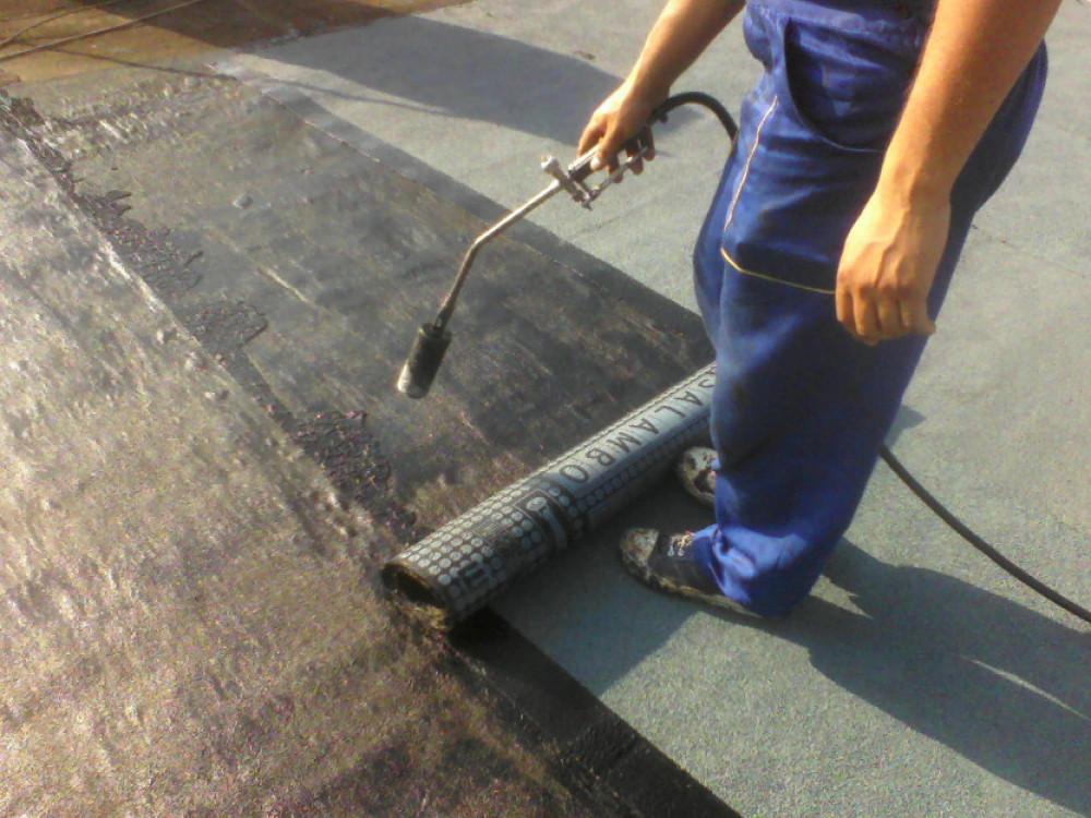 Снимка  от венцислав Райков