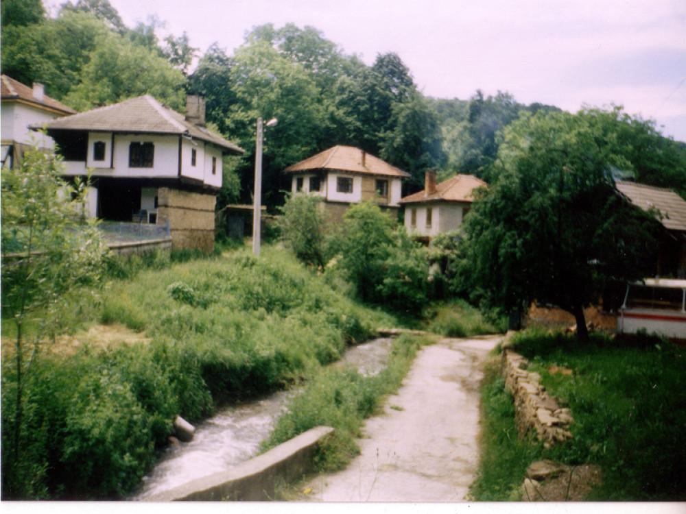 Снимка  от Кънчо Даскалов