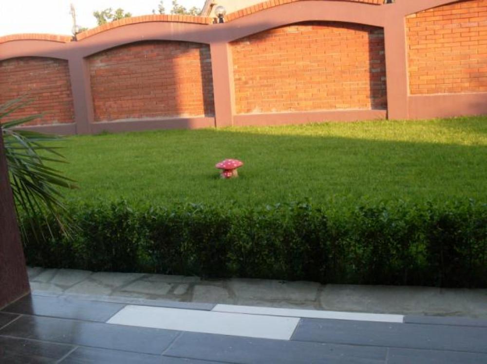 Снимка  от Мариана Коларова