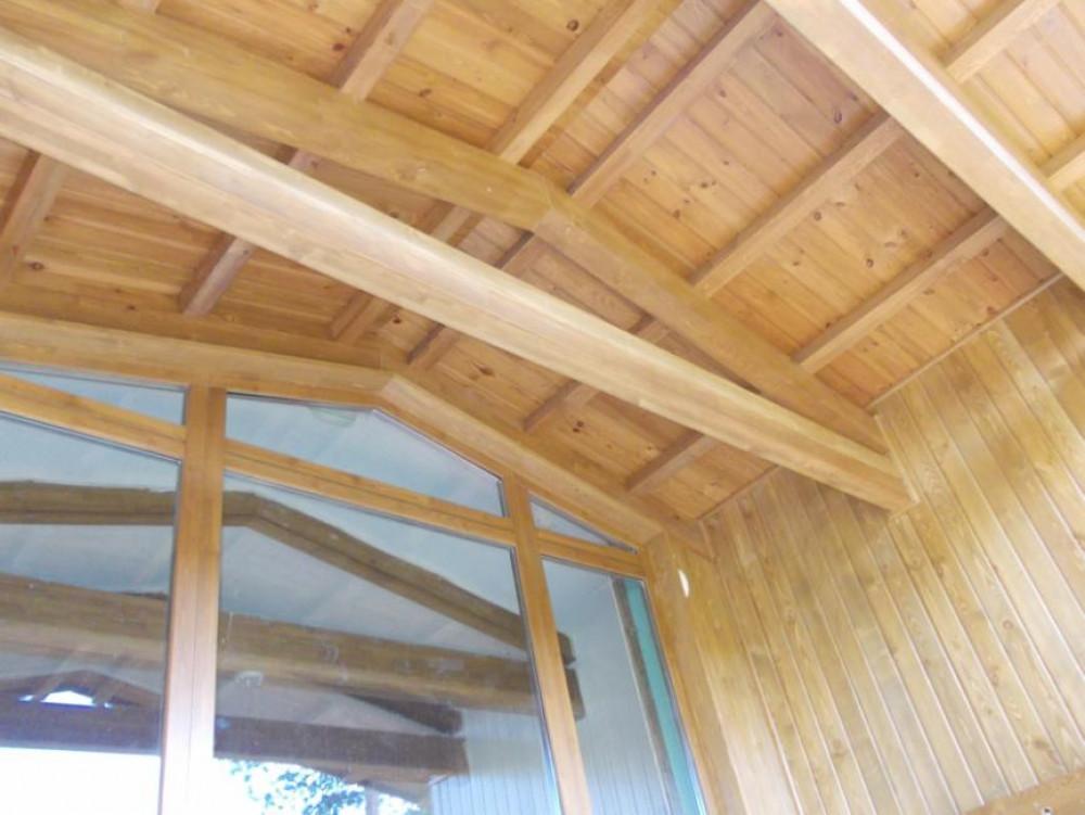 Снимка  от Тони Стоянчев