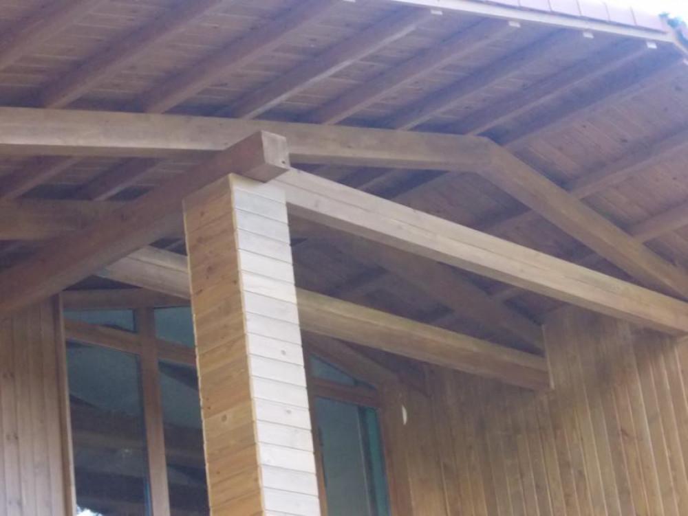 Снимка  от Тони Стоянчев