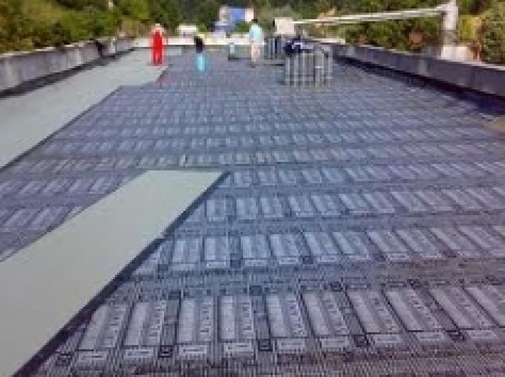 Снимка  от Даниел Манчев