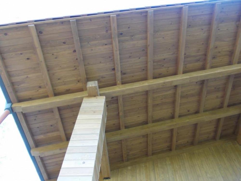 Снимка  от Тони Стоянчев