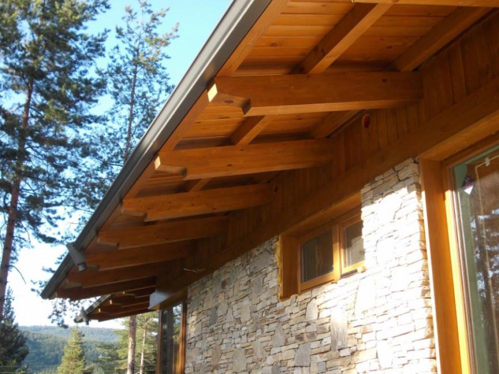 Снимка  от Тони Стоянчев