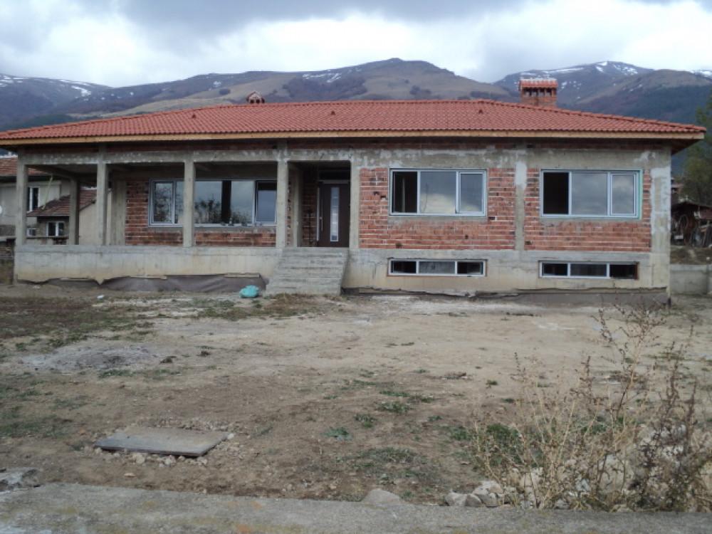 Снимка  от Иван Шамлиев