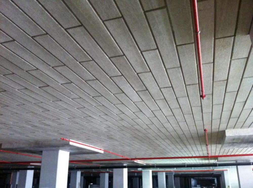 Снимка  от Мартин Господинов