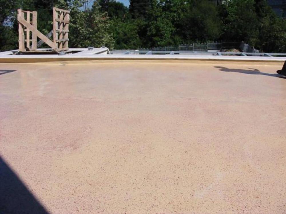 Снимка  от Тодор Тодоров