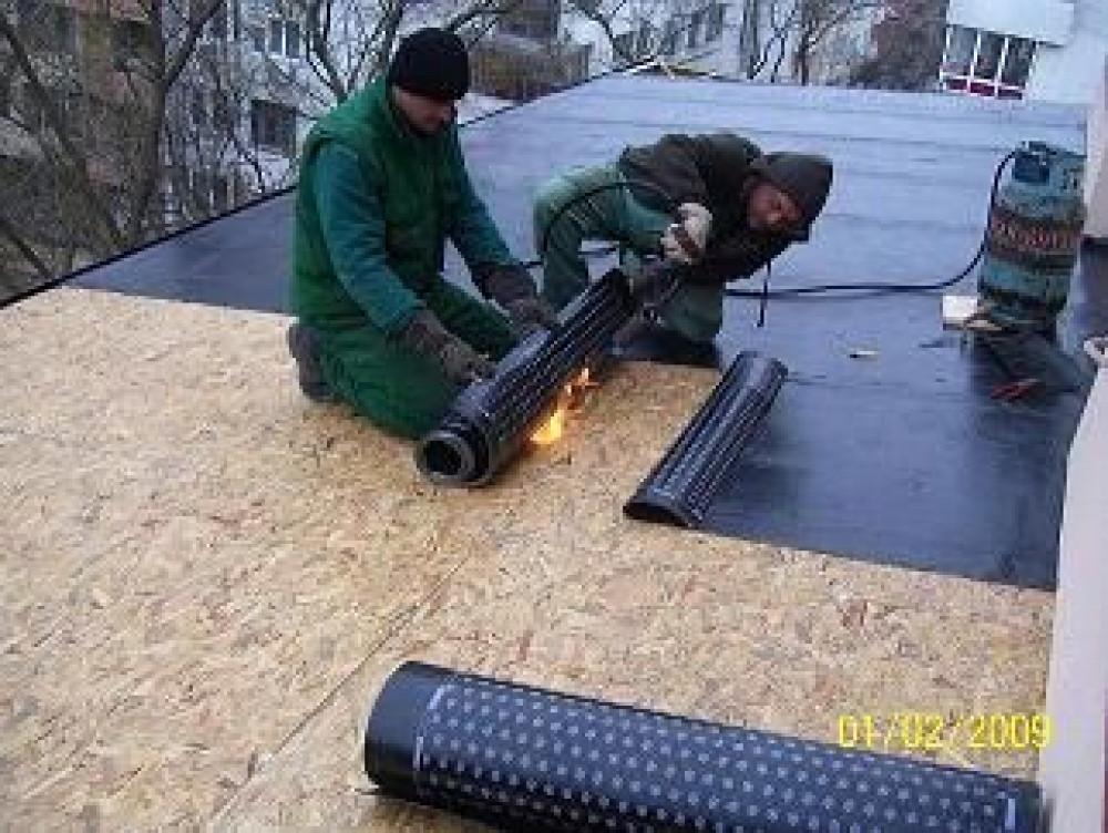 Снимка  от Николай Николов