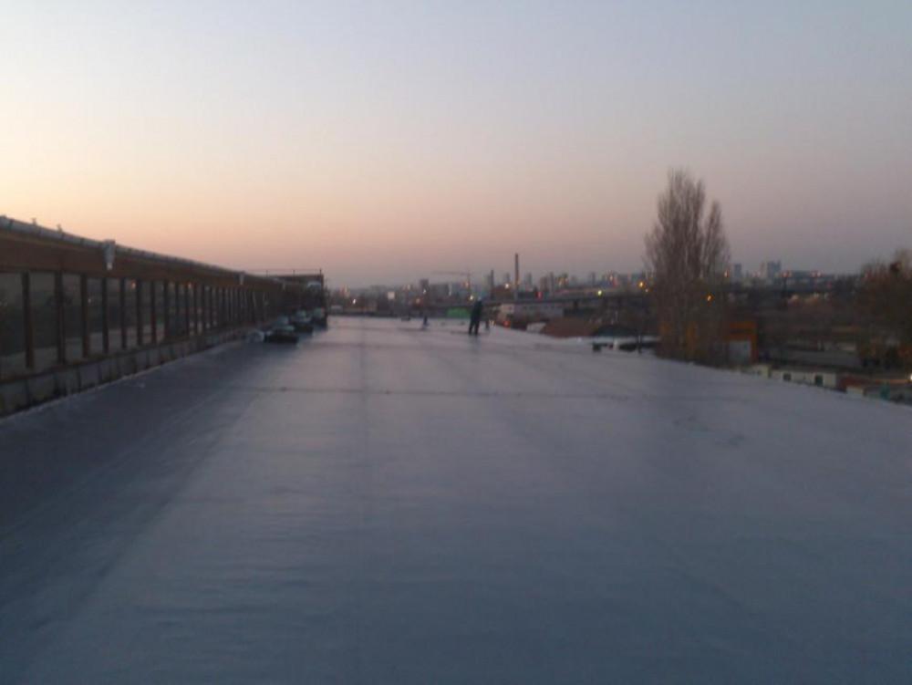 Снимка  от Димо Димитров