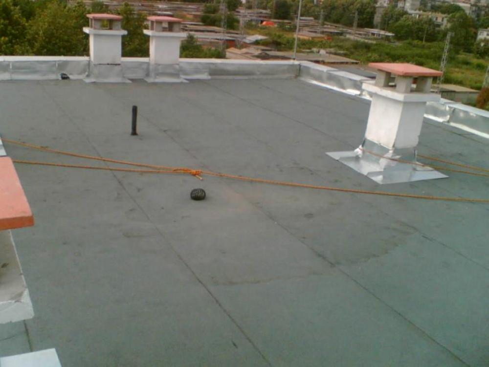 Снимка  от Димо Димитров