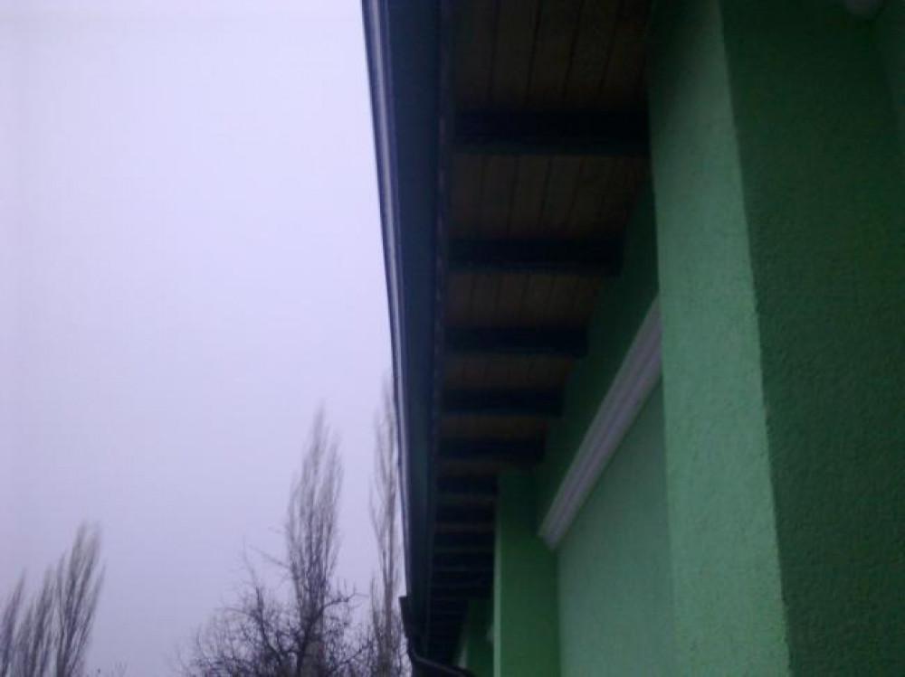 Снимка  от Цветомир Маринов