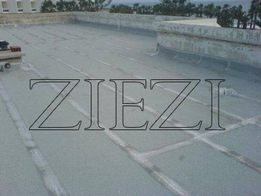 Снимка  от Методи Стоянов