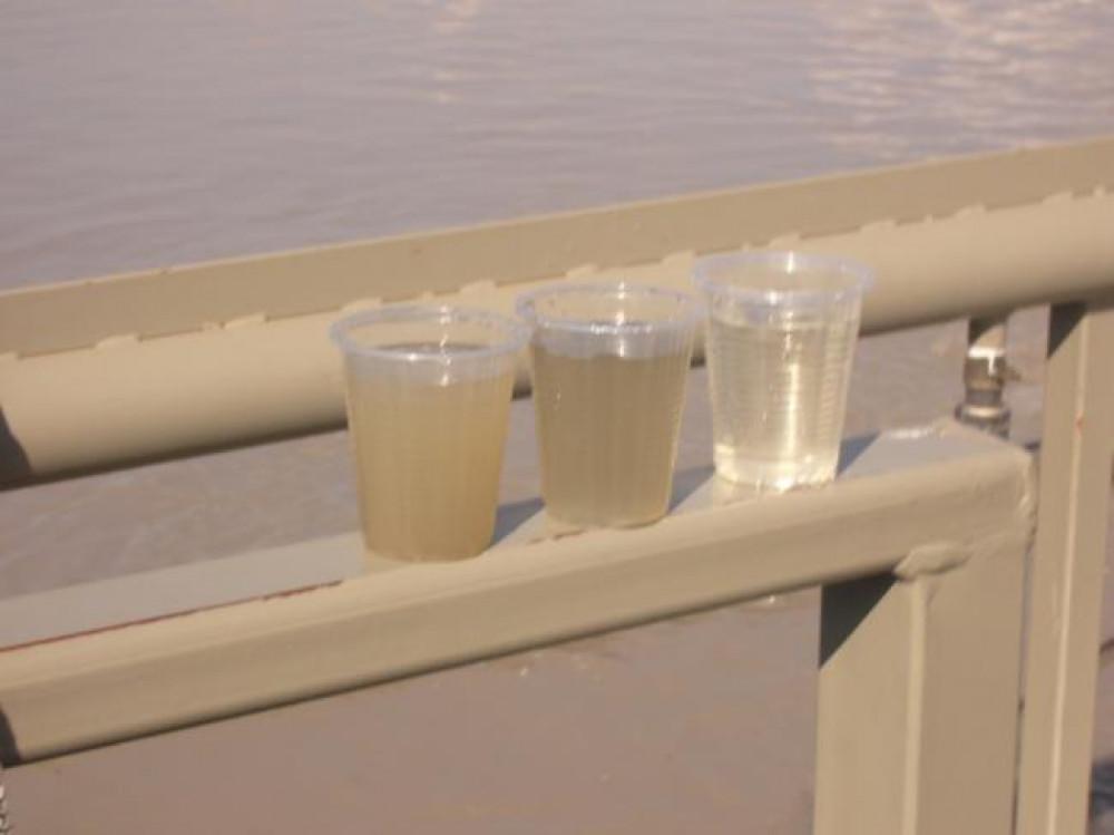 Снимка  от ЕИС ООД Димитров