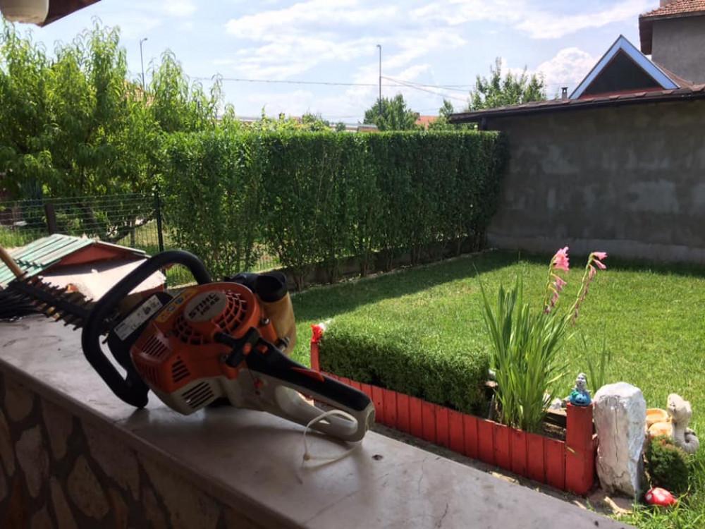 Оформяне на жив плет