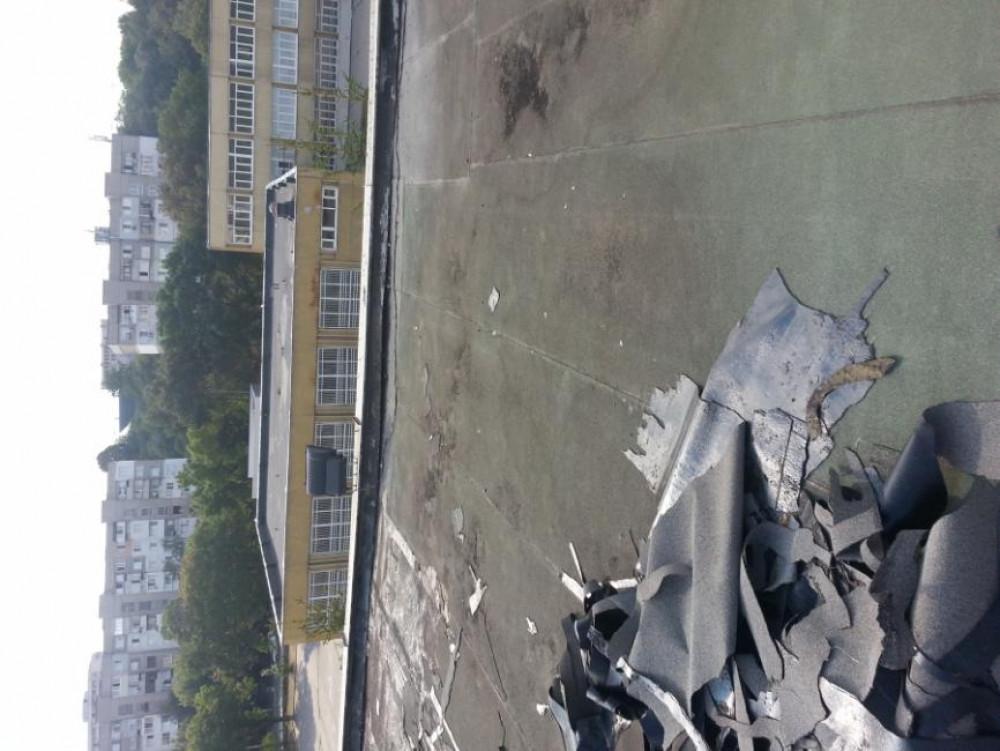 Снимка  от Първан Божилов