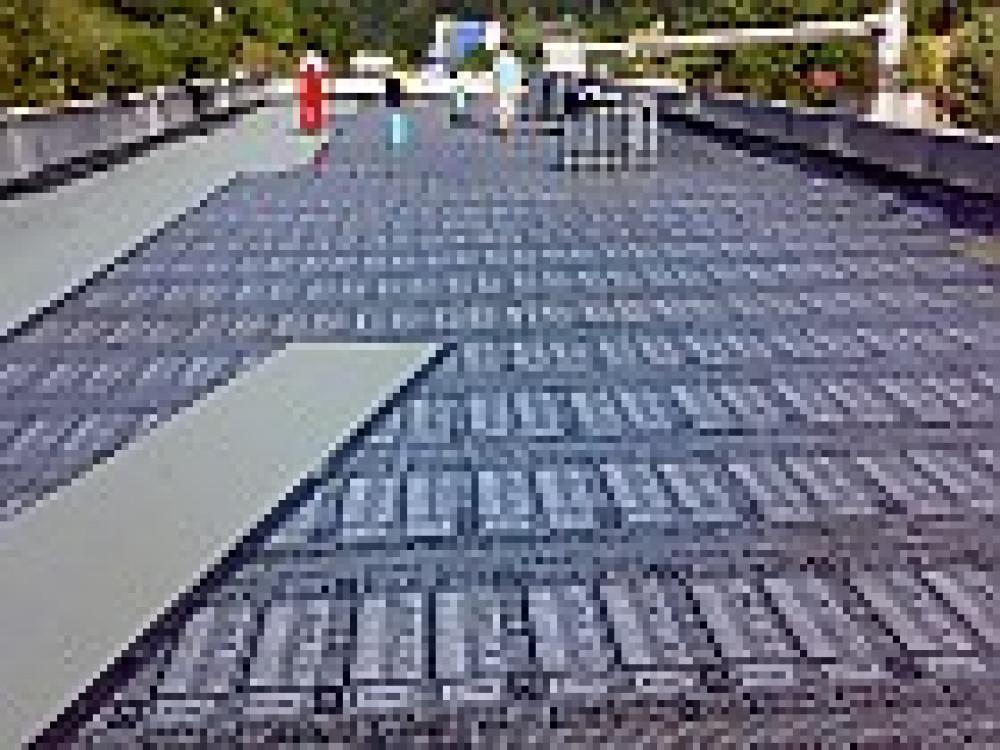 Снимка  от Трайчо Нанов