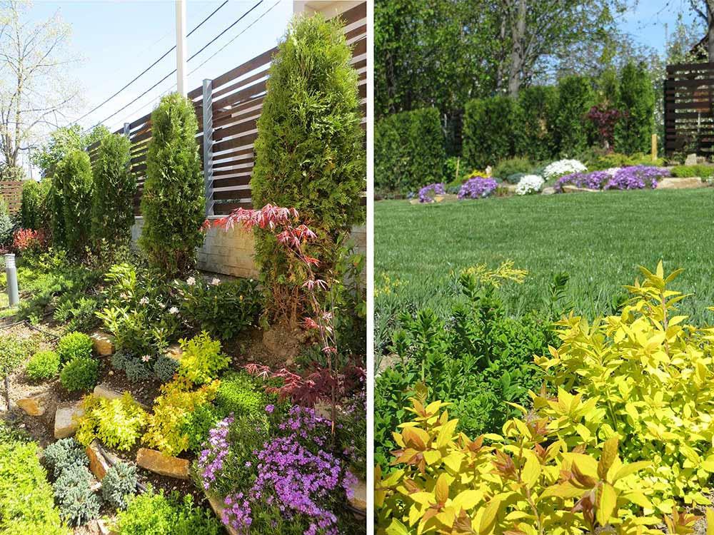 Поддръжка на частен двор кв. Симеоново